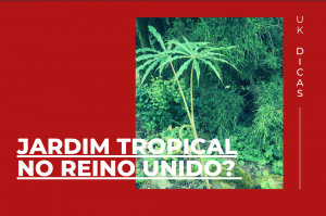 Read more about the article Jardim tropical no Reino Unido