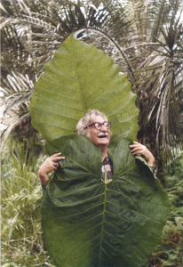 Read more about the article Inspiration: Burle Marx