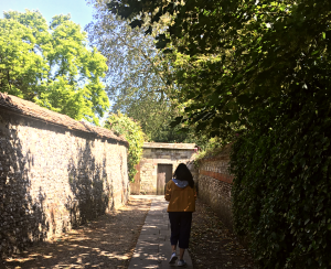 Read more about the article Visiting the Castle Park Physic Garden in Bristol