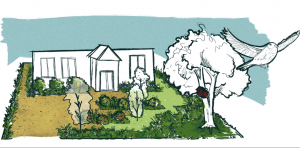 Read more about the article Biodiversity Front and Back Garden Design